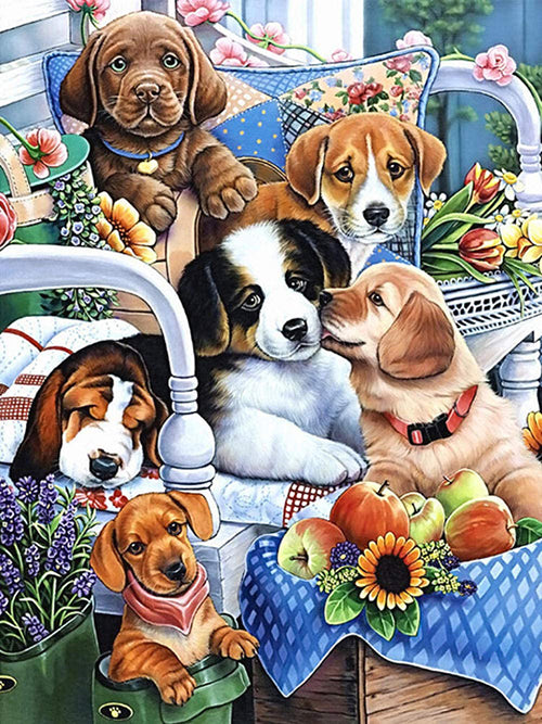 Puppies